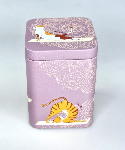 LATA GATO YOGA LILA 01