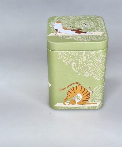 LATA GATO YOGA VERDE 01