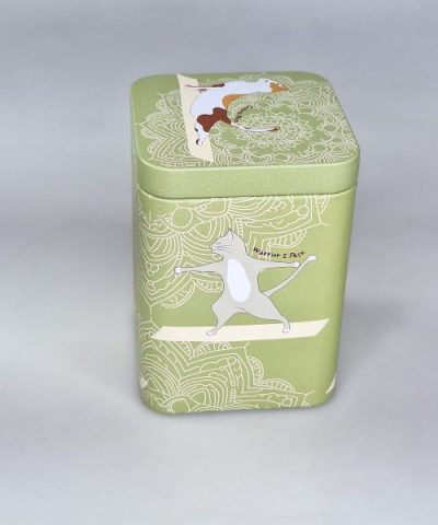 LATA GATO YOGA VERDE 02