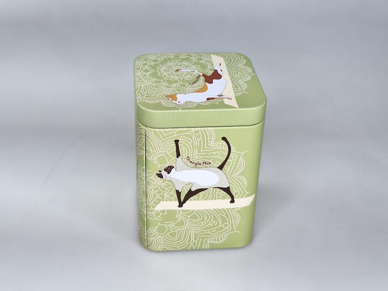 LATA GATO YOGA VERDE 04