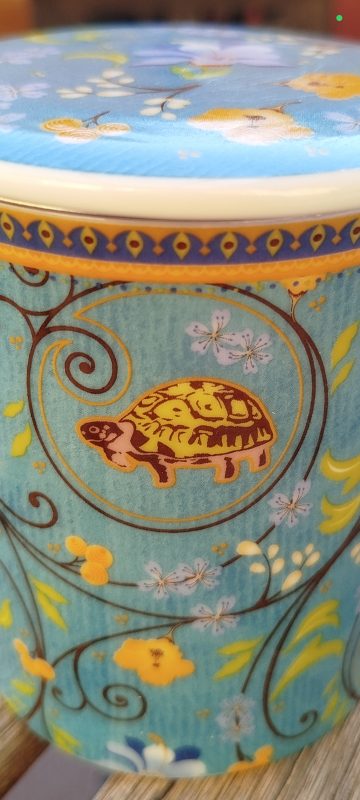 tortuga3